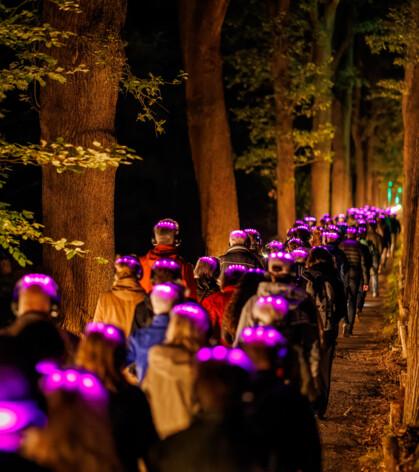 lichtbos-vibes.jpg